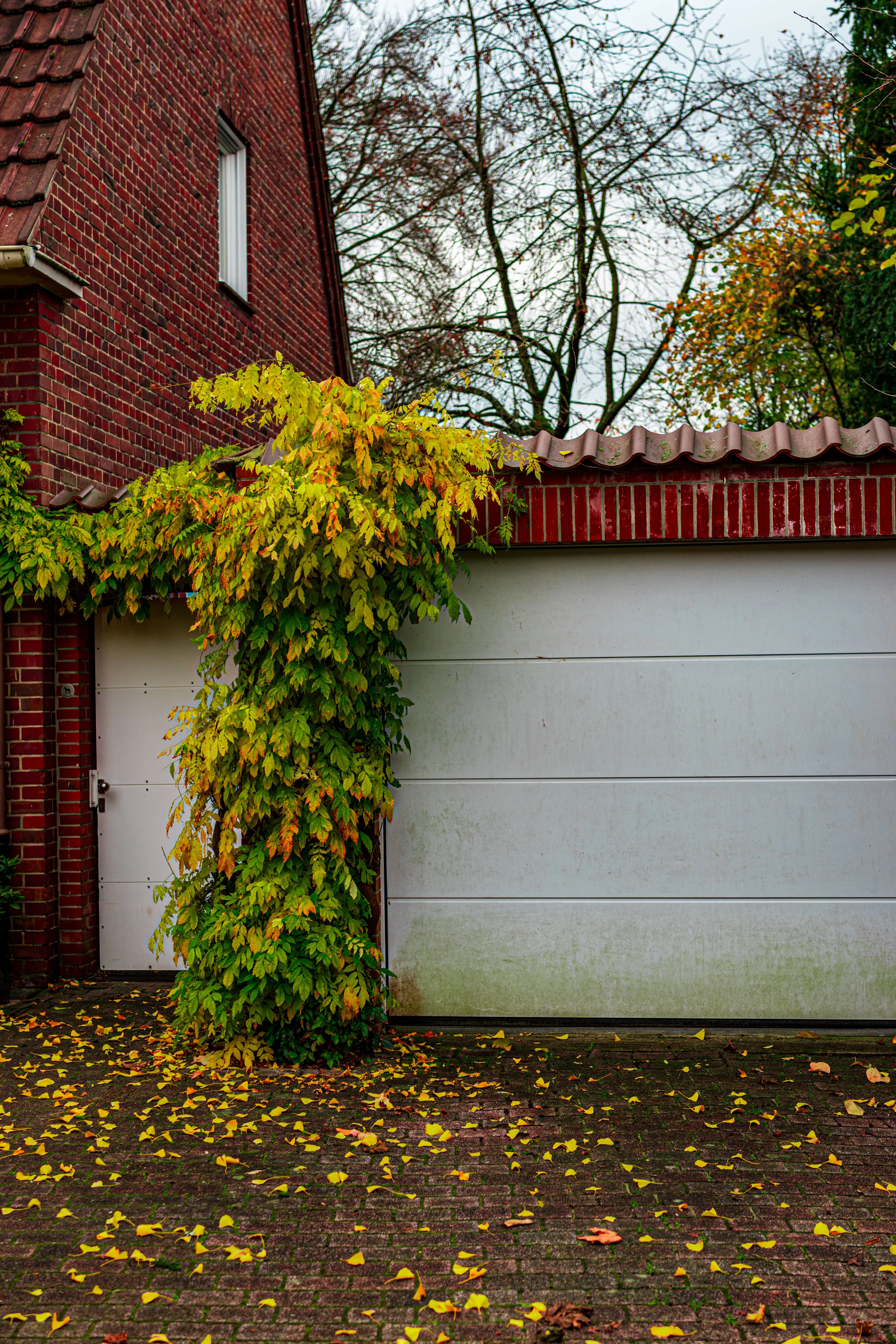 Residential garage door in Austin